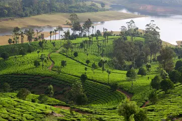 QUEEN OF HILLS: OOTY  With Kerala Tour by Smart Family Vacations