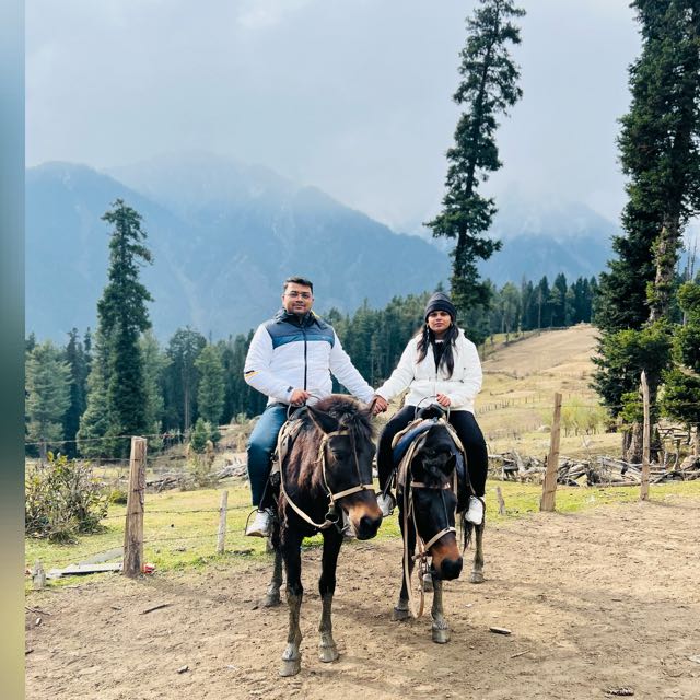 Sweet Kashmir with Srinagar Shikara at Dal LakePersonal Tours || Smart ...